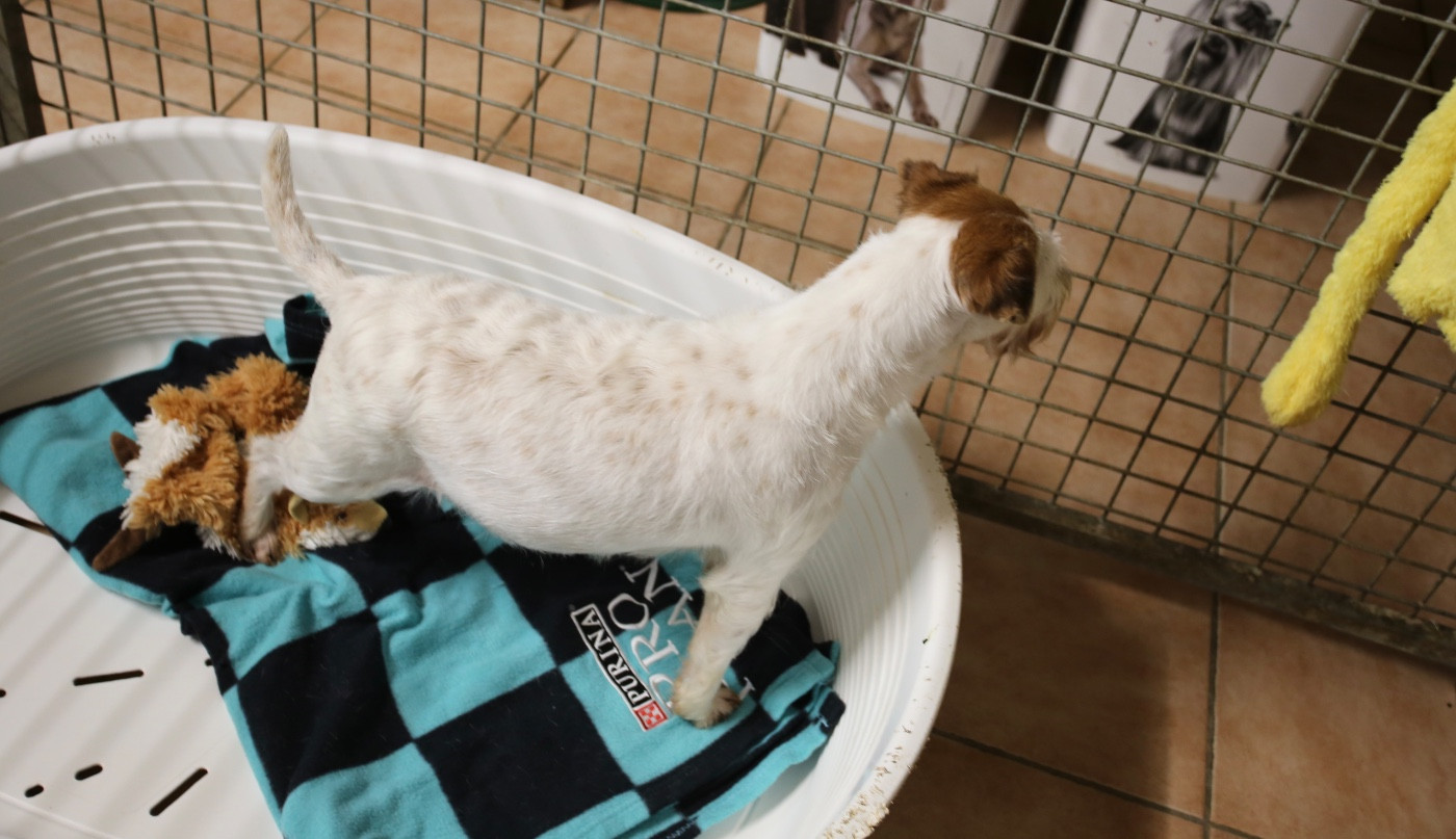 De quoi faire des heureux pour Février 2026