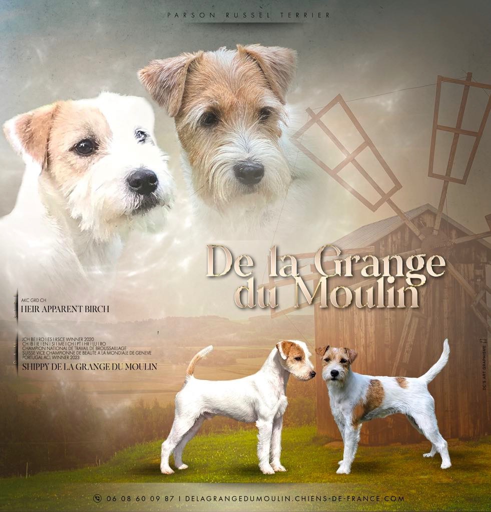 De La Grange Du Moulin - Grand Évènement JUIN 2025